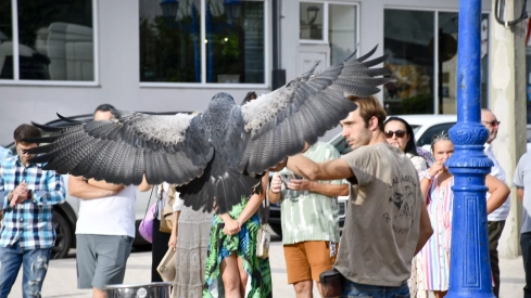Cetrería en Bembibre (17)