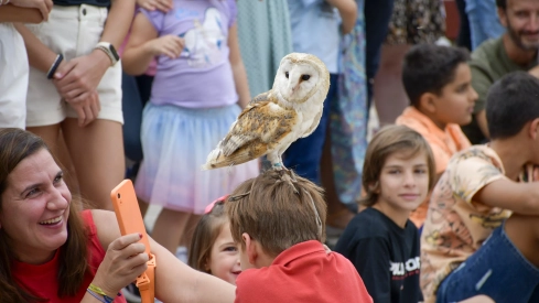Cetrería en Bembibre (28)