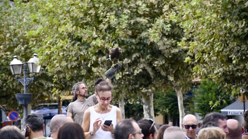 Cetrería en Bembibre (30)