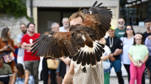 Cetrería en Bembibre (31)