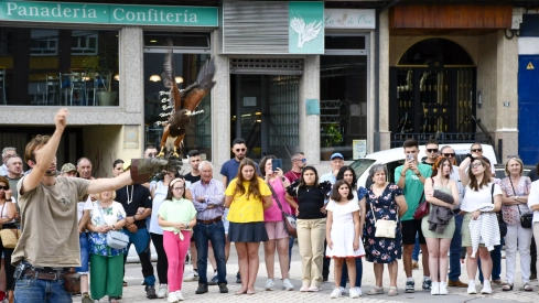 Bembibre inaugura su Mercado Medieval con un espectáculo de cetrería