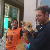 El Ayuntamiento de Ponferrada reclama la adopción de perros para "bajar a la mitad la capacidad del albergue"