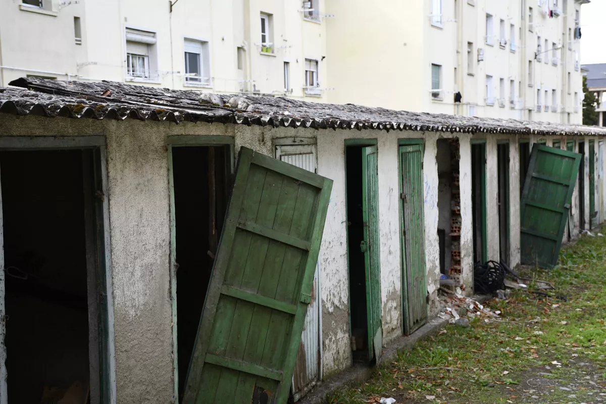 Carboneras Flores del Sil (9)