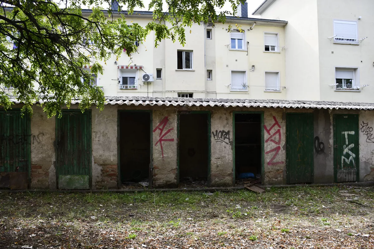 Carboneras Flores del Sil (3)