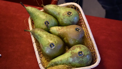 Feria del pimiento y de la fruta