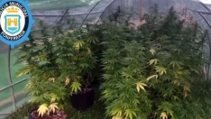 Foto archivo: Policía Ponferrada marihuana Foto archivo: Policía Ponferrada marihuana