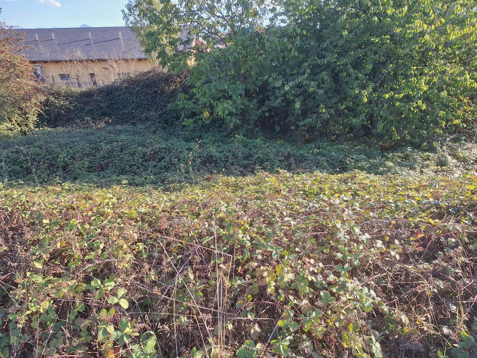 Entorno urbanización Escuela Infantil