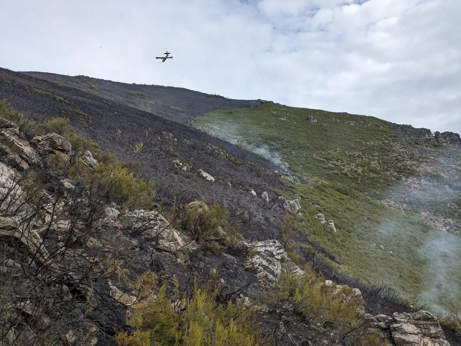 Extinguido el incendio de Matalavilla (Palacios del Sil) tras quemar más de 20 hectáreas