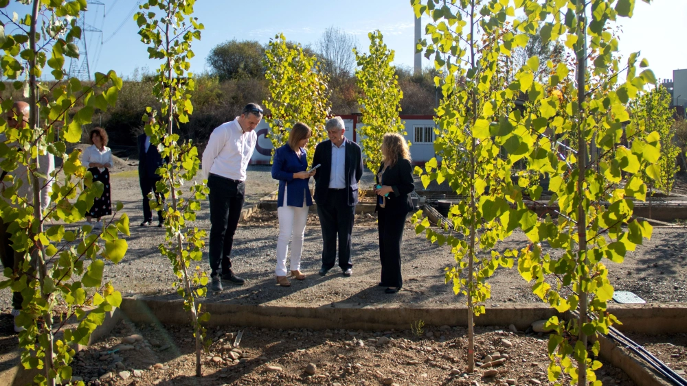 2023 10 10 Proyecto Populus Adapt 03 2023 10 10 Proyecto Populus Adapt 03