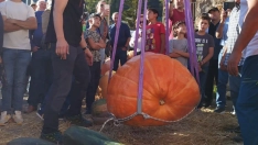 Premio a la calabaza más grande en Igüeña 2023