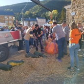 Feria de la Calabaza en Igüeña 