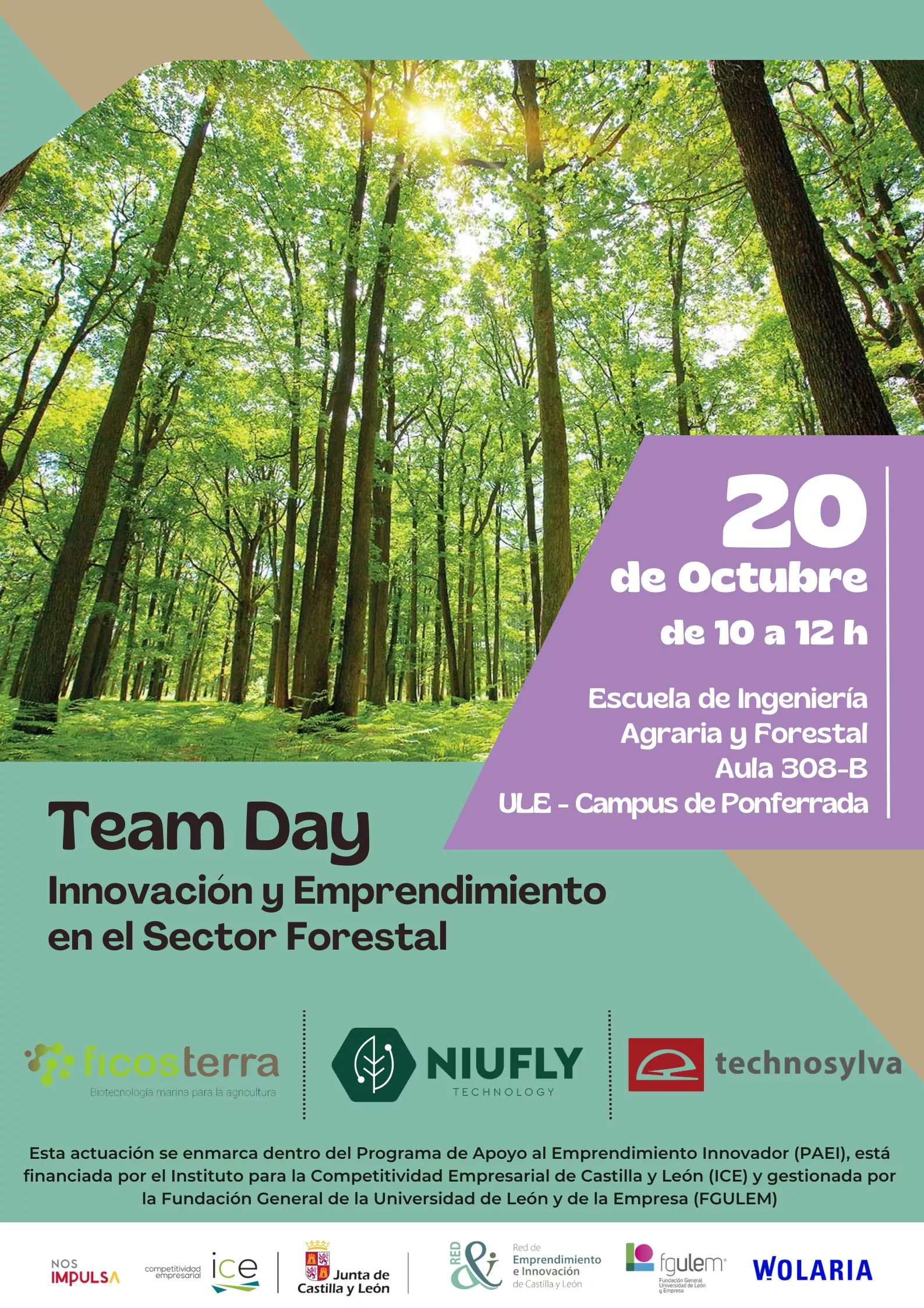 Cartel 'Team Day Forestal' Campus de Ponferrada Cartel 'Team Day Forestal' Campus de Ponferrada