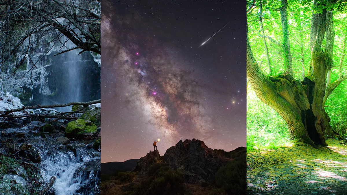 Fotos ganadoras del concurso de 'El Nogalón', "Captura la Tebaida" Fotos ganadoras del concurso de 'El Nogalón', "Captura la Tebaida"