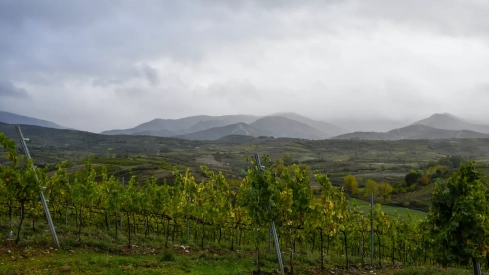 Bodega Heredad Morán & López Bodega Heredad Morán & López