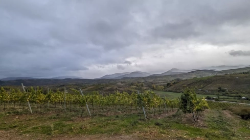 Bodega Heredad Morán & López Bodega Heredad Morán & López