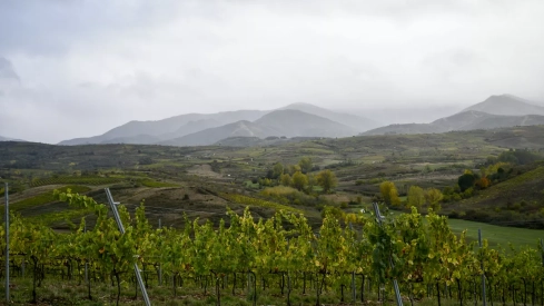 Bodega Heredad Morán & López Bodega Heredad Morán & López