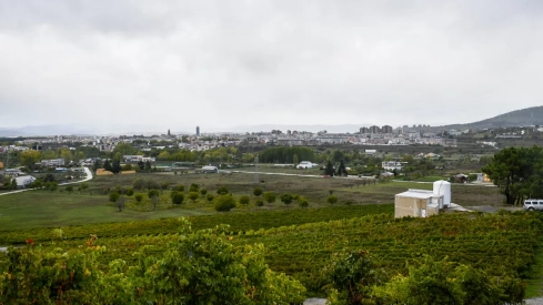 Bodega Heredad Morán & López Bodega Heredad Morán & López