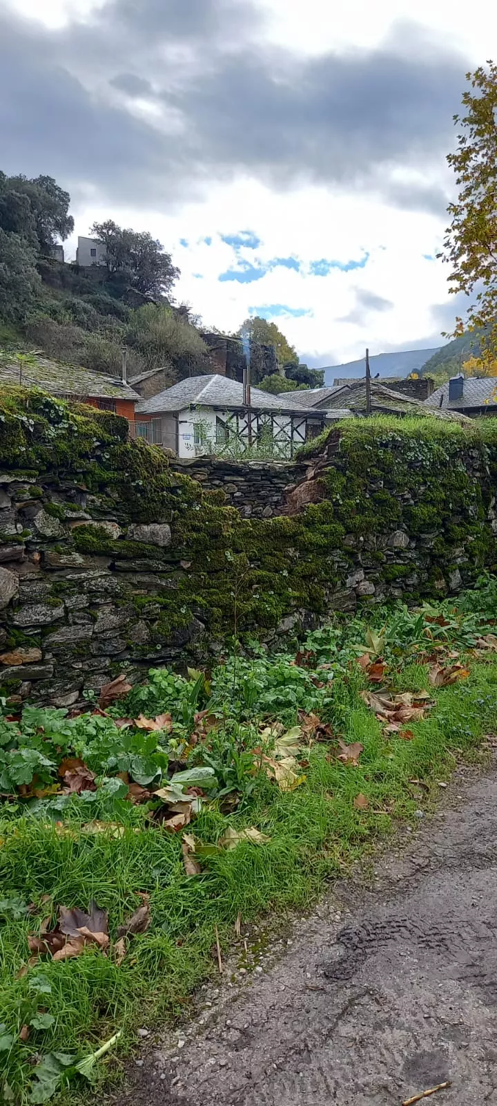 Cementerio de Valdefrancos (2)