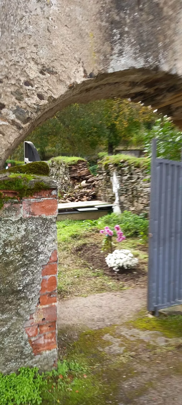 Cementerio de Valdefrancos (4)