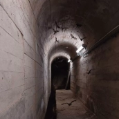 Proyecto Endesabats para la conservación de murciélagos, del que forman parte el embalse de Campañana y la presa de Bárcena