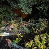 Árbol caído por el temporal de fuertes vientos y lluvia en Ponferrada