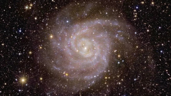 Euclid s view of spiral galaxy IC 342 pillars