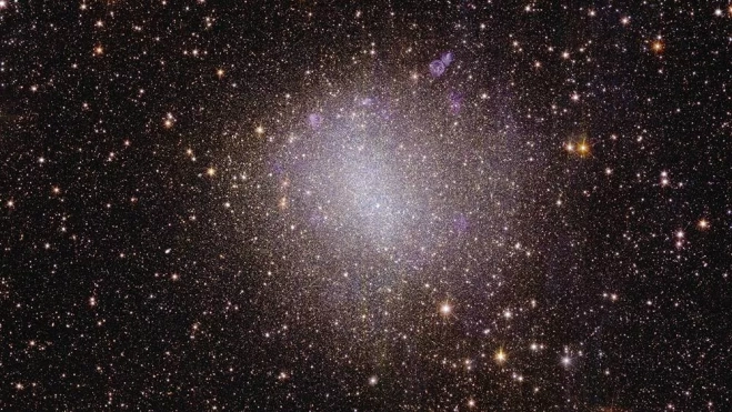 Euclid s view of irregular galaxy NGC 6822 pillars