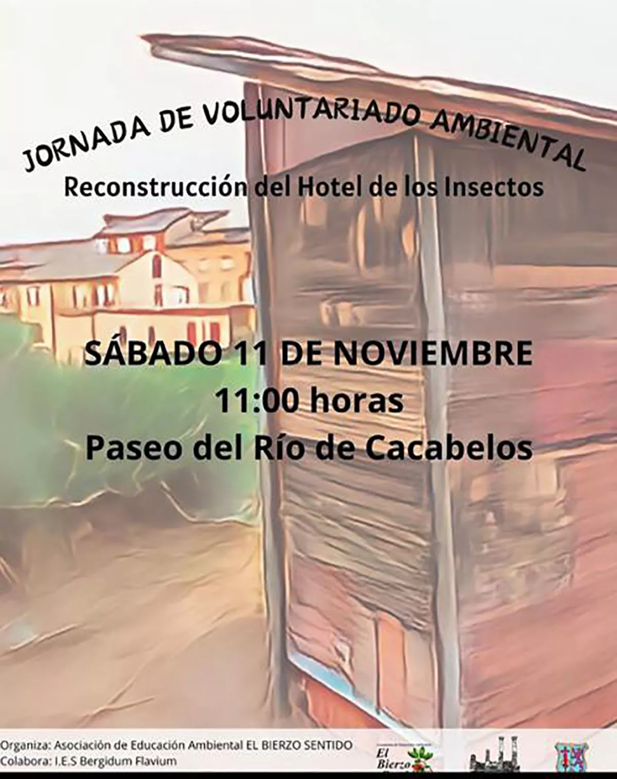 hotel insectos voluntariado hotel insectos voluntariado