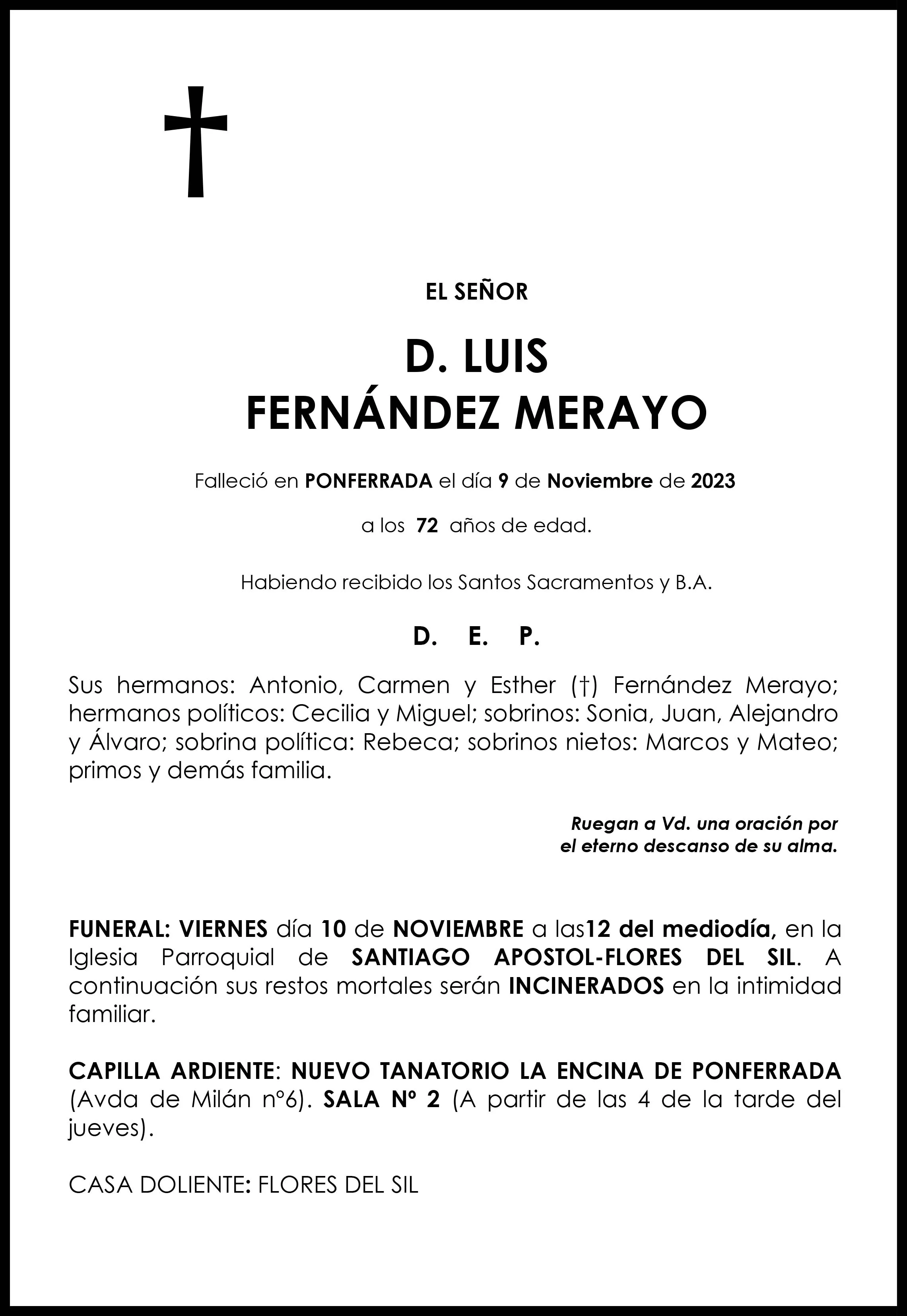 LUIS FERNANDEZ MERAYO