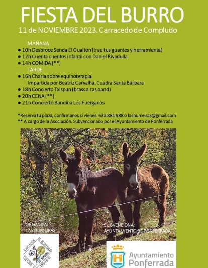 fiesta del burro