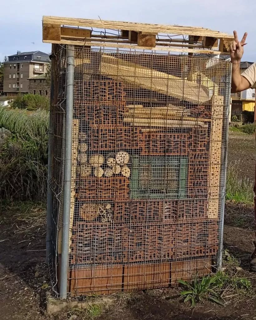 WhatsApp Image 2023 11 14 at 10.07.45 WhatsApp Image 2023 11 14 at 10.07.45