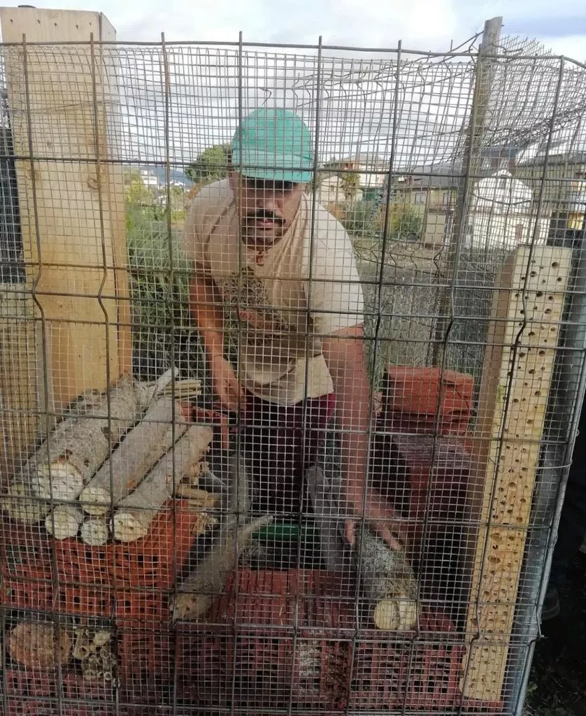 Una veintena de voluntarios recuperan el hotel de insectos de Cacabelos Una veintena de voluntarios recuperan el hotel de insectos de Cacabelos