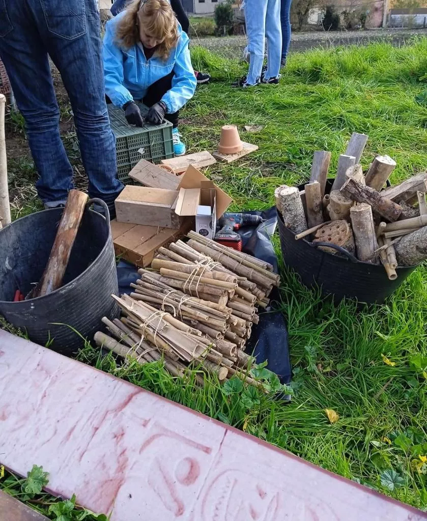 Una veintena de voluntarios recuperan el hotel de insectos de Cacabelos Una veintena de voluntarios recuperan el hotel de insectos de Cacabelos