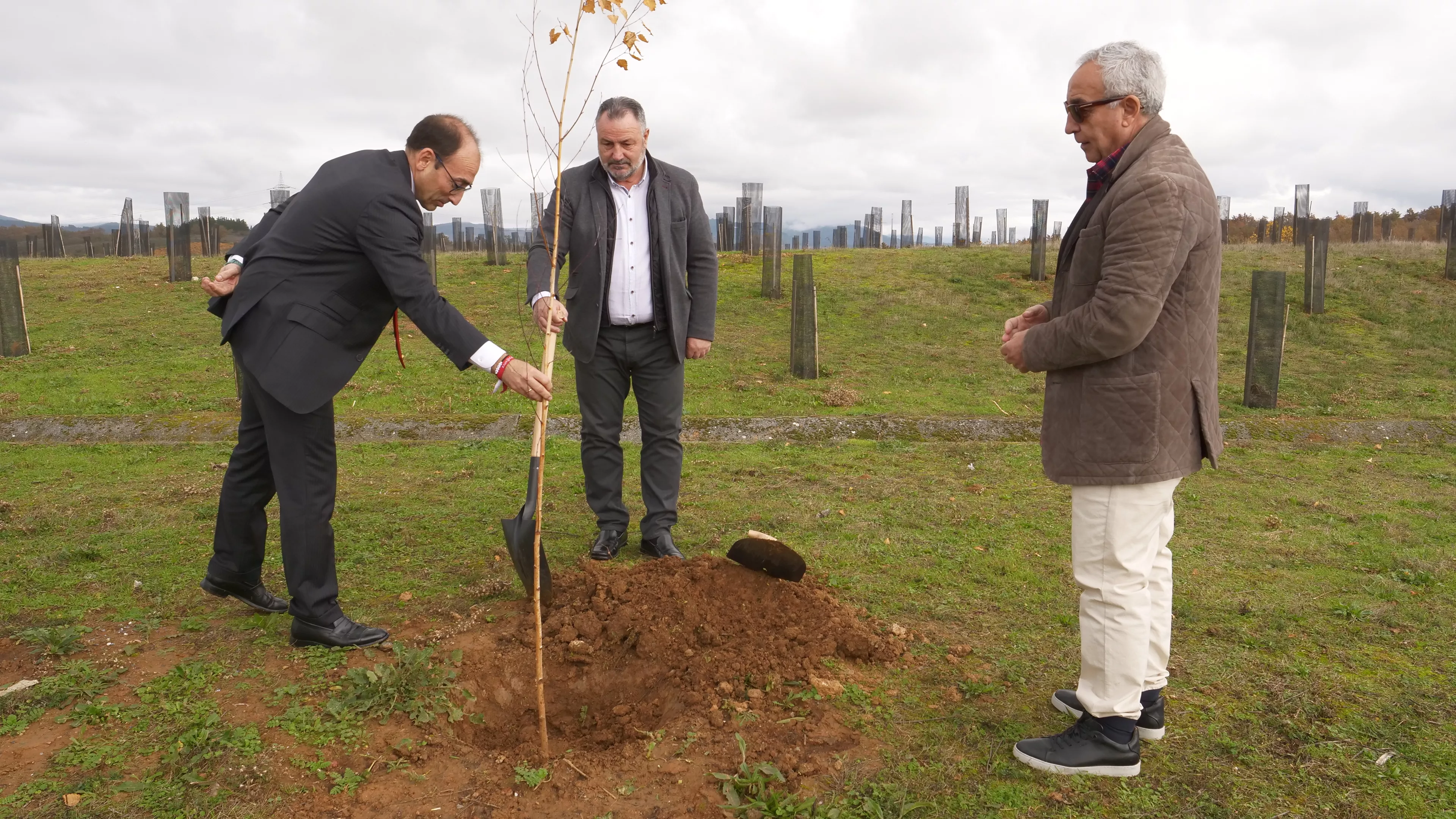 Bosque Olímpico Español en Camponaraya (6) Bosque Olímpico Español en Camponaraya (6)