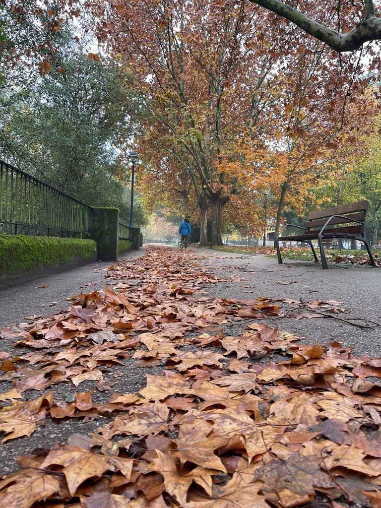 El otoño pasea por el ponferradino parque de La Concordia