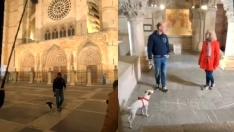 Pipper, el perro viajero, hace parada en León para conocer los lugares más emblemáticos Pipper, el perro viajero, hace parada en León para conocer los lugares más emblemáticos