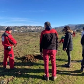 El anillo verde de Ponferrada suma 324 árboles de especies autóctonas en Campo
