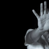 datos 25n bierzo leon