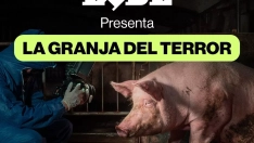 Denuncian la granja del terror en Quintanilla del Coco