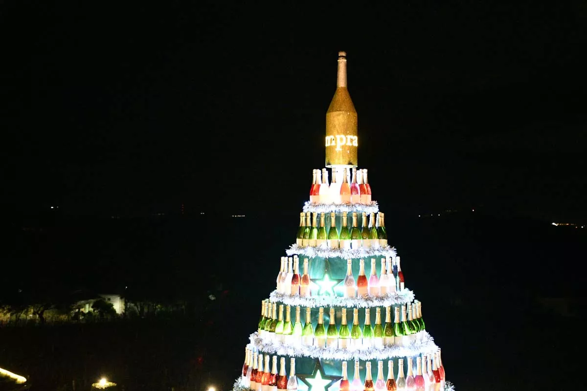 El Palacio de Canedo da la bienvenida a la Navidad