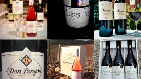 Recomendaciones de vinos del Bierzo