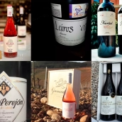 Recomendaciones de vinos del Bierzo Recomendaciones de vinos del Bierzo