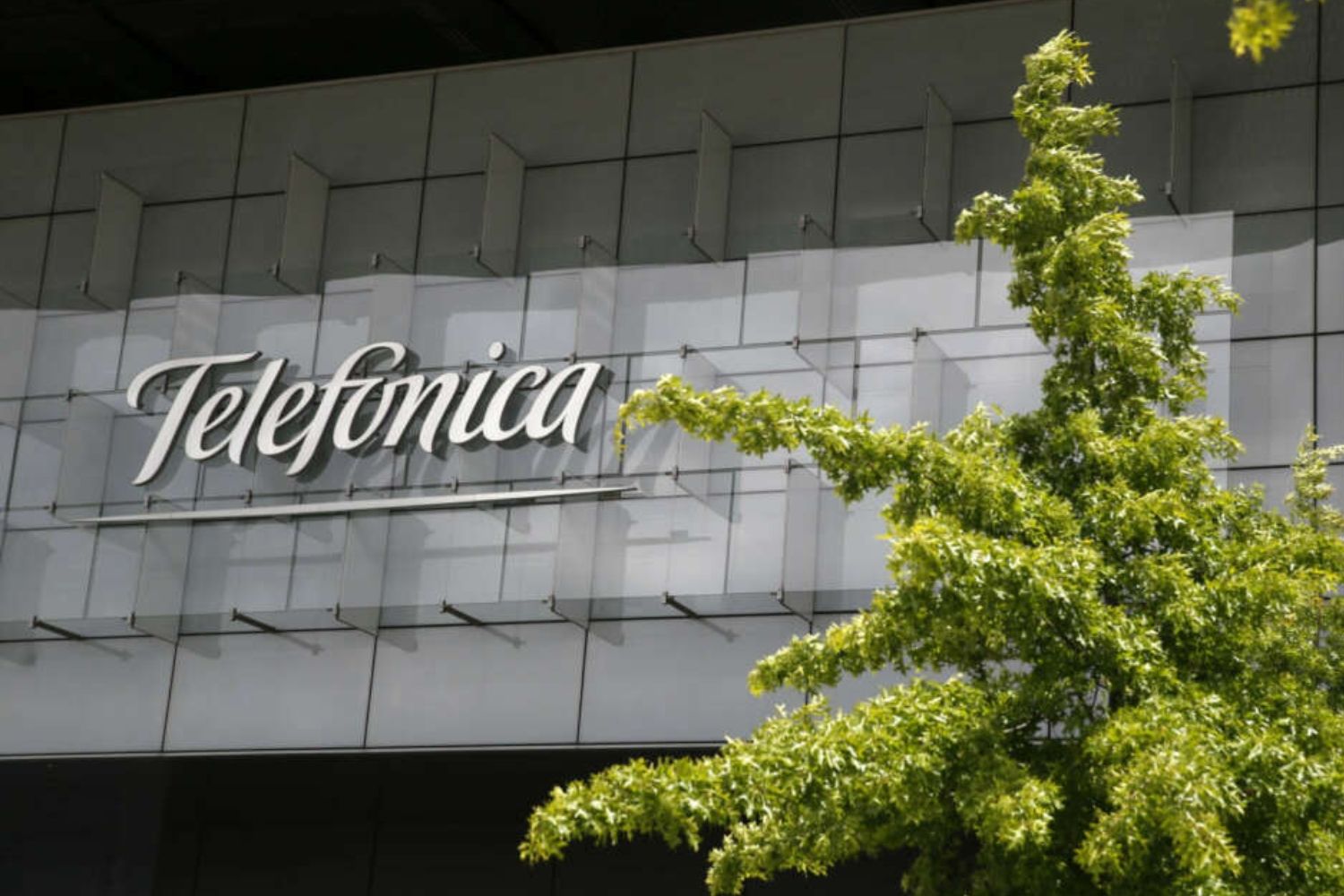 Teléfonica