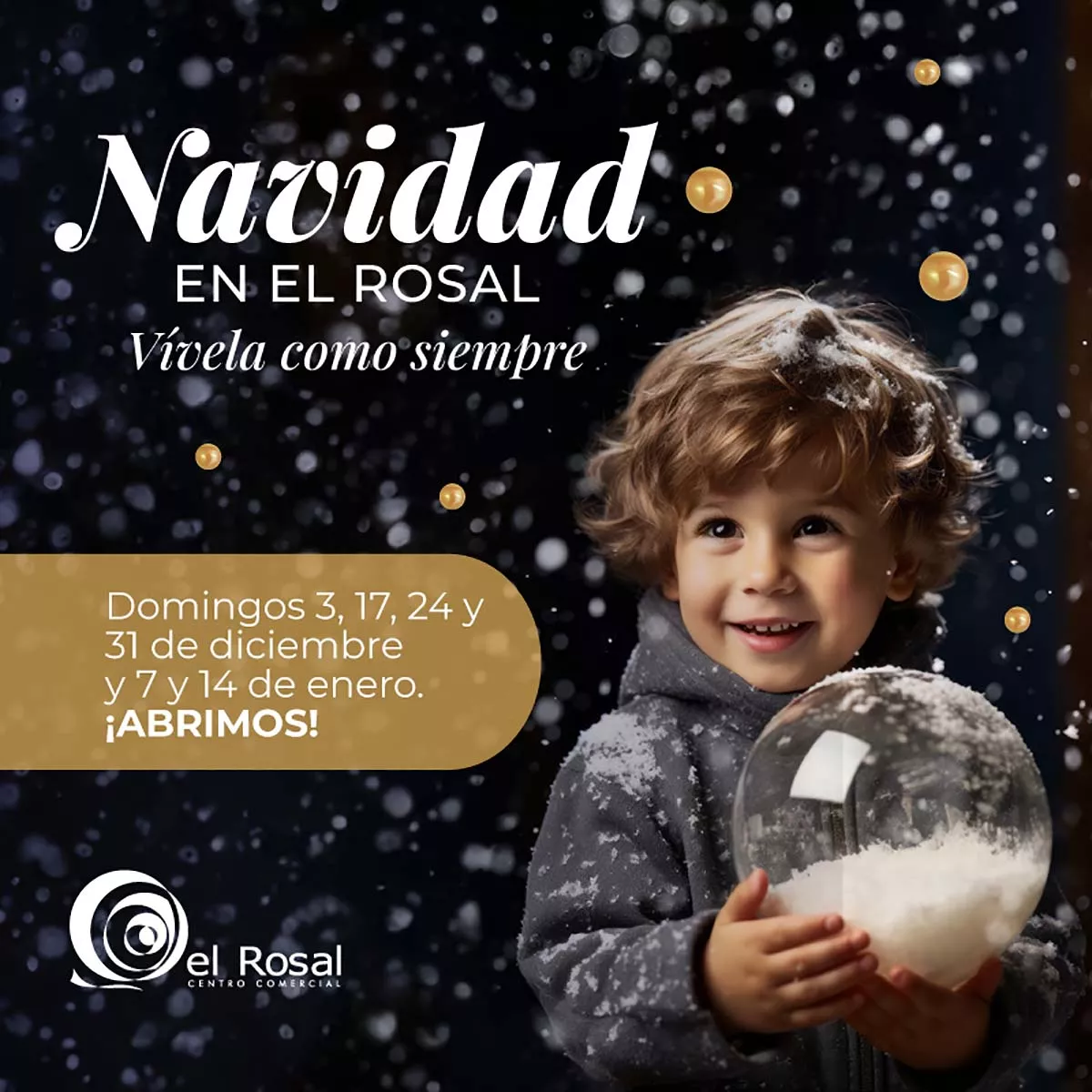 navidad rosal 1 navidad rosal 1