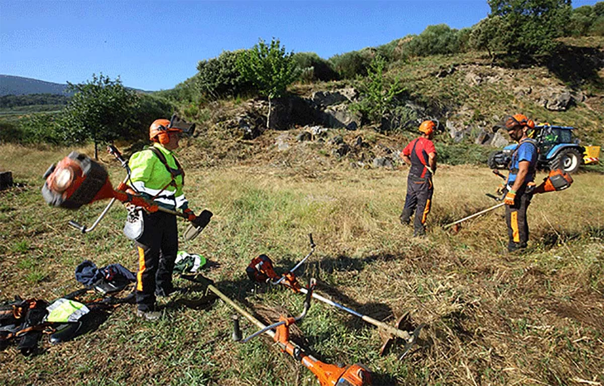 Luz verde a 13 millones para contratar 417 parados que limpiarán los montes a través del Consejo Comarcal del Bierzo y 9 diputaciones Luz verde a 13 millones para contratar 417 parados que limpiarán los montes a través del Consejo Comarcal del Bierzo y 9 diputaciones