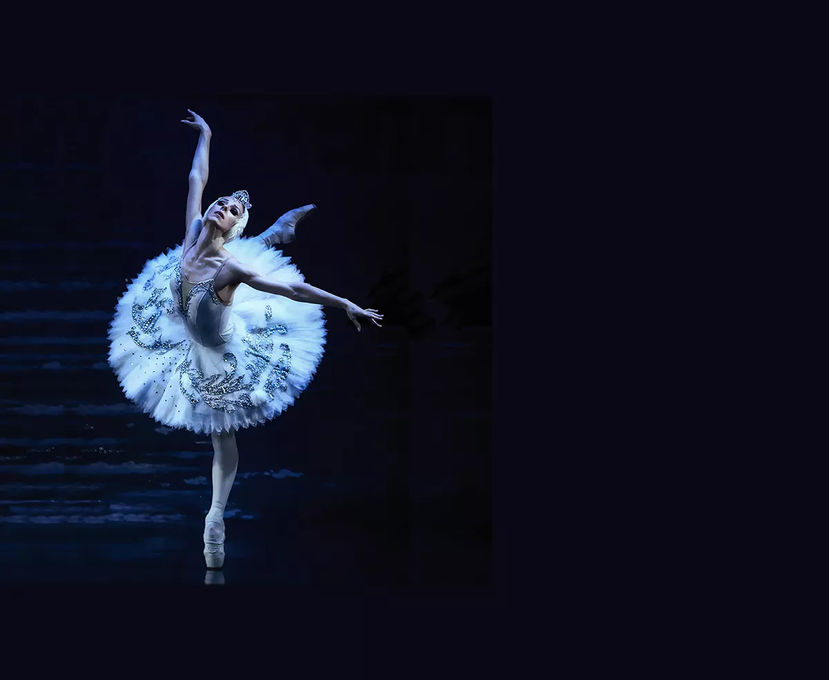 El lago de los cisnes