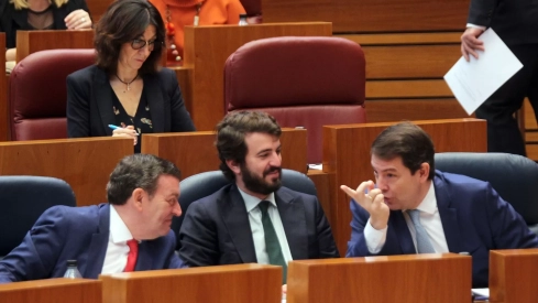   Las Cortes de Castilla y León  vuelven a rechazar la amnistía con el voto en contra de PSOE y Podemos 