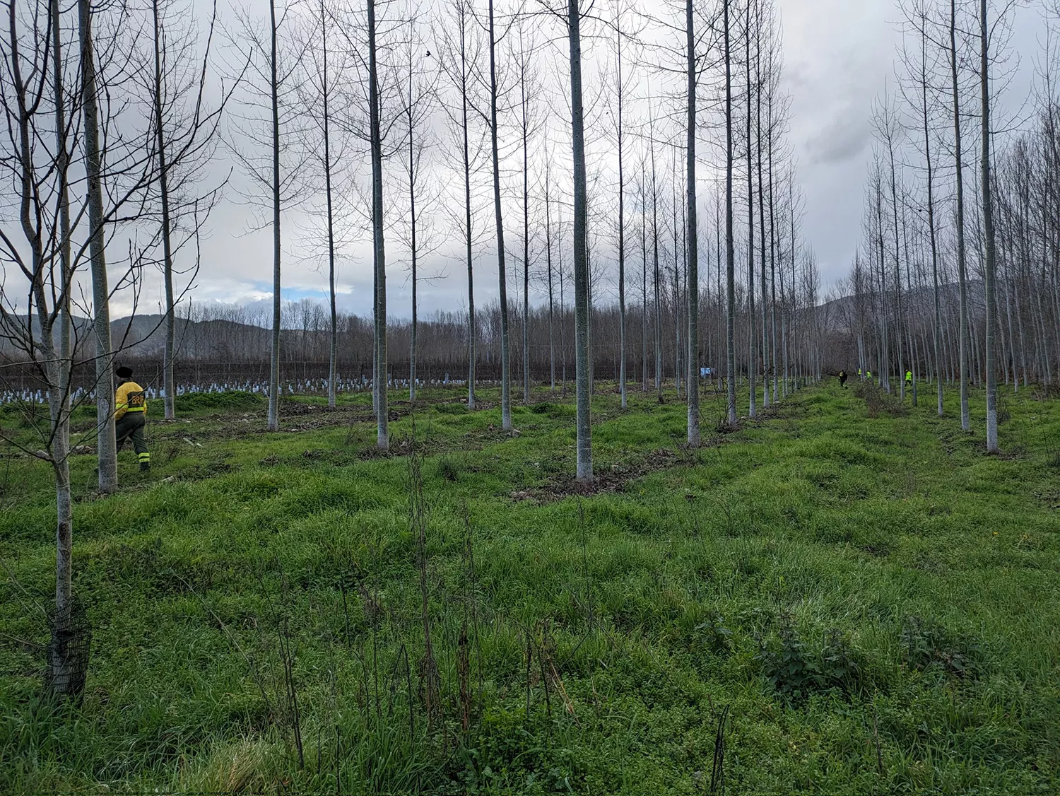 El Subdelegado del Gobierno sobre el desaparecido en Rimor: "Disminuyen las probabilidades de encontrarlo en condiciones óptimas" El Subdelegado del Gobierno sobre el desaparecido en Rimor: "Disminuyen las probabilidades de encontrarlo en condiciones óptimas"