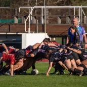 Las Draconas Rugby