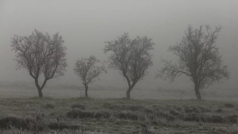 Días de frío y niebla en Ponferrada y El Bierzo